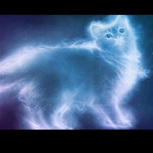 Meet your Posher, Catie